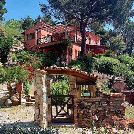 Villetta Dei Fichi D'India Rio dellʼElba Extérieur photo