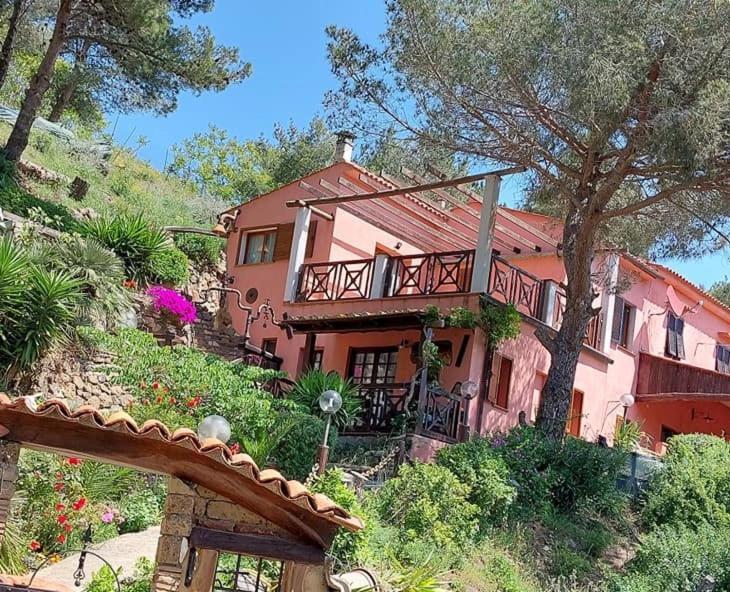 Villetta Dei Fichi D'India Rio dellʼElba Extérieur photo