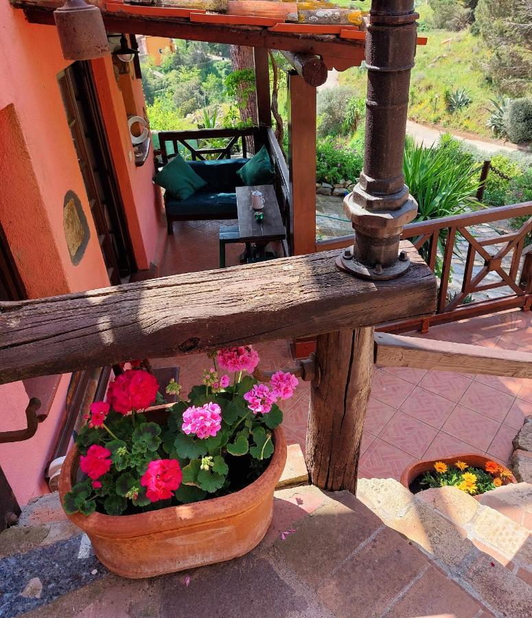 Villetta Dei Fichi D'India Rio dellʼElba Extérieur photo