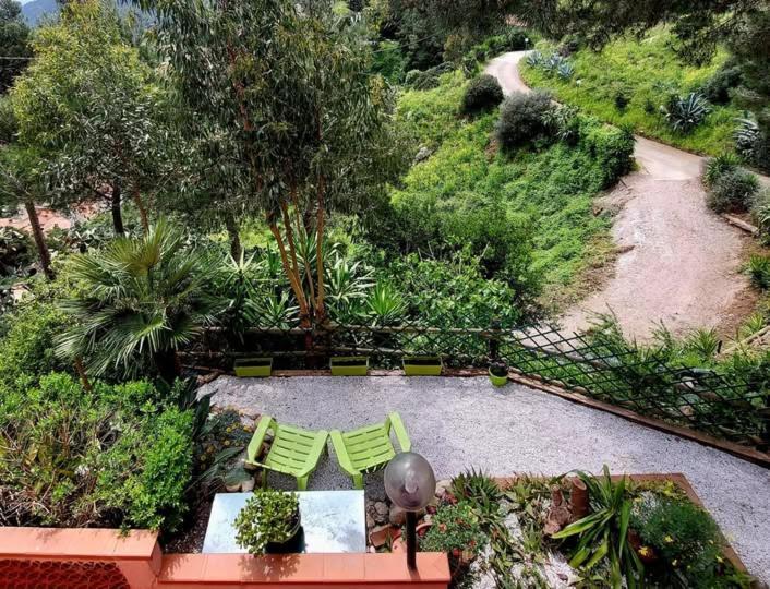 Villetta Dei Fichi D'India Rio dellʼElba Extérieur photo
